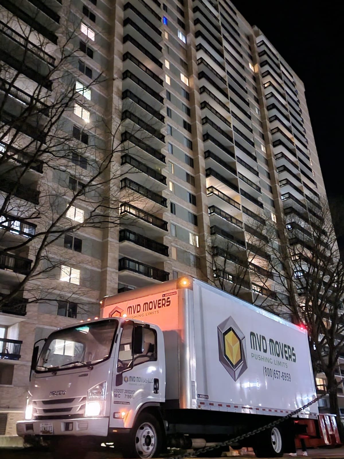 Professional Movers at Work